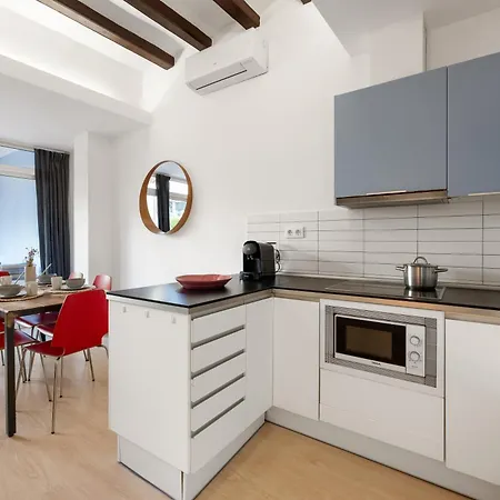 Sant Domenec Apartment Barcelona Exterior photo